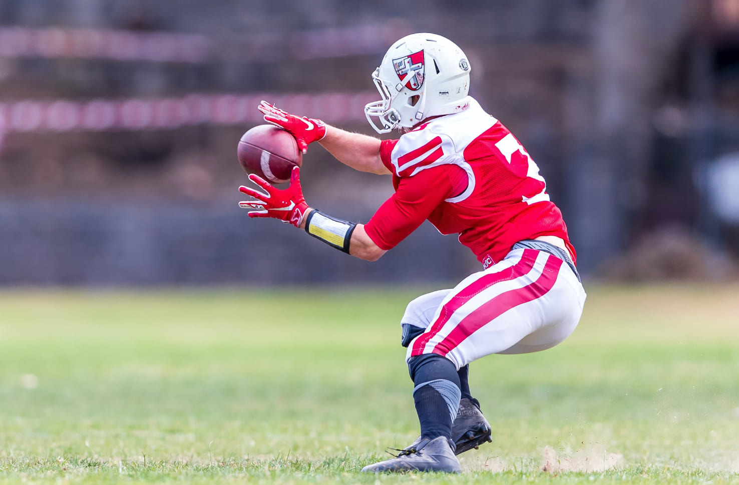 michail-sapiton-alCEnNmzhPE-unsplash 1